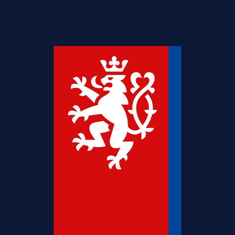 DIGITÁLNÍ SLUŽBY STÁTU PŘEHLEDNĚ