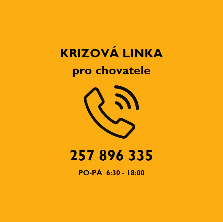 INFORMACE TÝKAJÍCÍ SE SITUACE OHLEDNĚ MOŽNÉHO ŠÍŘENÍ SLINTAVKY A KULHAVKY V EVROPĚ