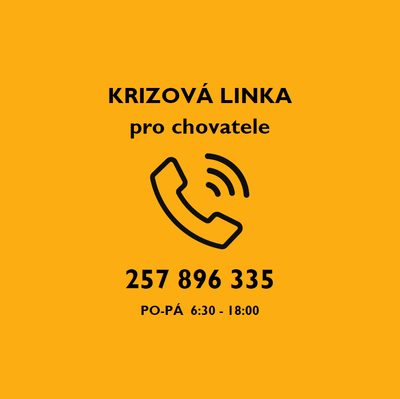 INFORMACE TÝKAJÍCÍ SE SITUACE OHLEDNĚ MOŽNÉHO ŠÍŘENÍ SLINTAVKY A KULHAVKY V EVROPĚ
